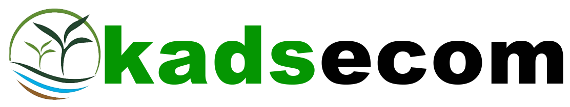 kadsecom.com
