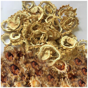 Pavakka Vattal (Dried Bittergourd)