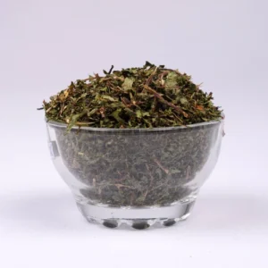 Dried Mexican Mint
